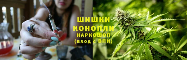 PSILOCYBIN Переславль-Залесский