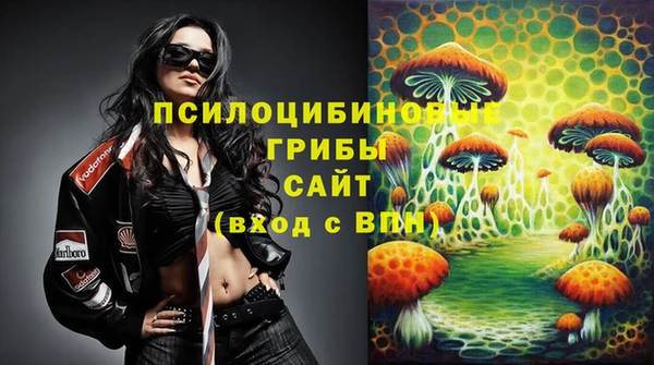 PSILOCYBIN Переславль-Залесский