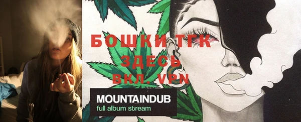 PSILOCYBIN Переславль-Залесский