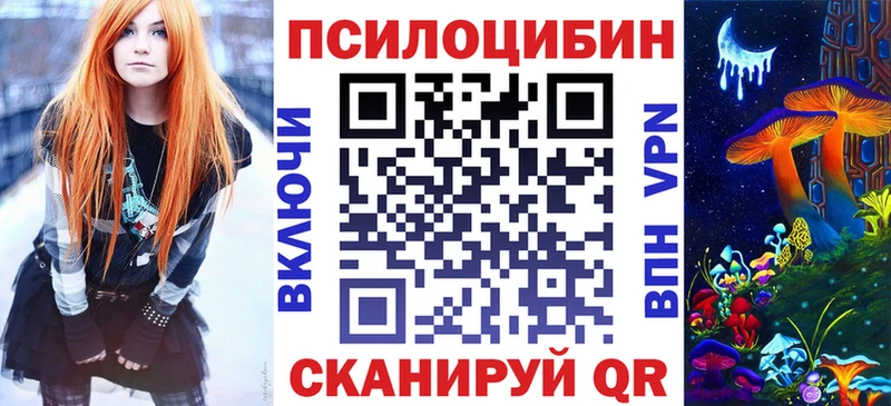 Купить где  Полтавская  Галлюциногенные грибы Psilocybe 